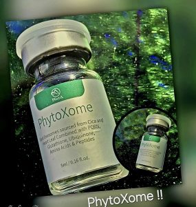 phytosomen Skin StudioMicroneedling-MicroGlowFusion-Didam